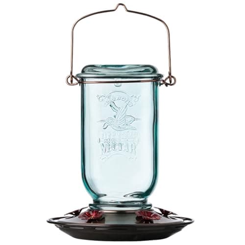 More Birds Mason Jar Hummingbird Feeder, Glass Hummingbird Feeders for Outdoors, 5 Feeding Stations, 25 Ounces - image 1 of 10
