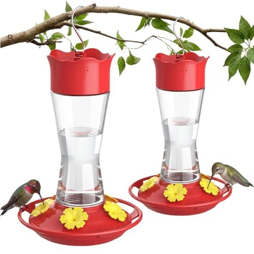 Kingsyard 2-Pack Glass Hummingbird Feeder for Outdoors Hanging, 10 oz Leak-Proof Humming Bird Feeders with Ant Moat & Bee Proof Feeding Ports, Hummingbird Gift for Bird Lovers (Clear) - image 1 of 8