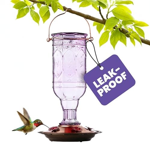 More Birds Amethyst Jewel Hummingbird Feeder - 77IN - 20 Fl Oz Nectar Capacity - Hummingbird Feeder for Outdoors - Feed 5 Hummingbirds - Vintage Design - Bird Backyard DÃcor