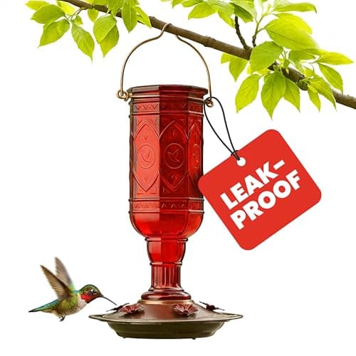 More Birds Red Jewel Hummingbird Feeder, Glass Bottle, 5 Feeding Ports and 20-Ounce Nectar Capacity (76IN) - image 1 of 10