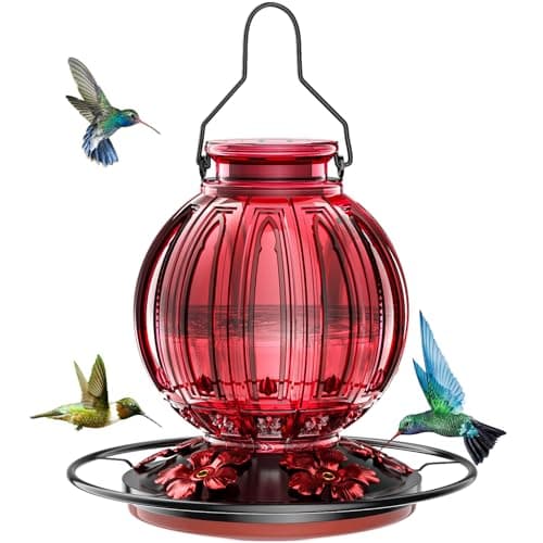 Glass Hummingbird Feeder for Outdoors Hanging, 26Oz Bird Nectar Feeder with Perch & 5 Flower Feeding Ports, Leak Proof for Outside Garden Decor Backyard, Gifts for Women Mom, Red - image 1 of 1