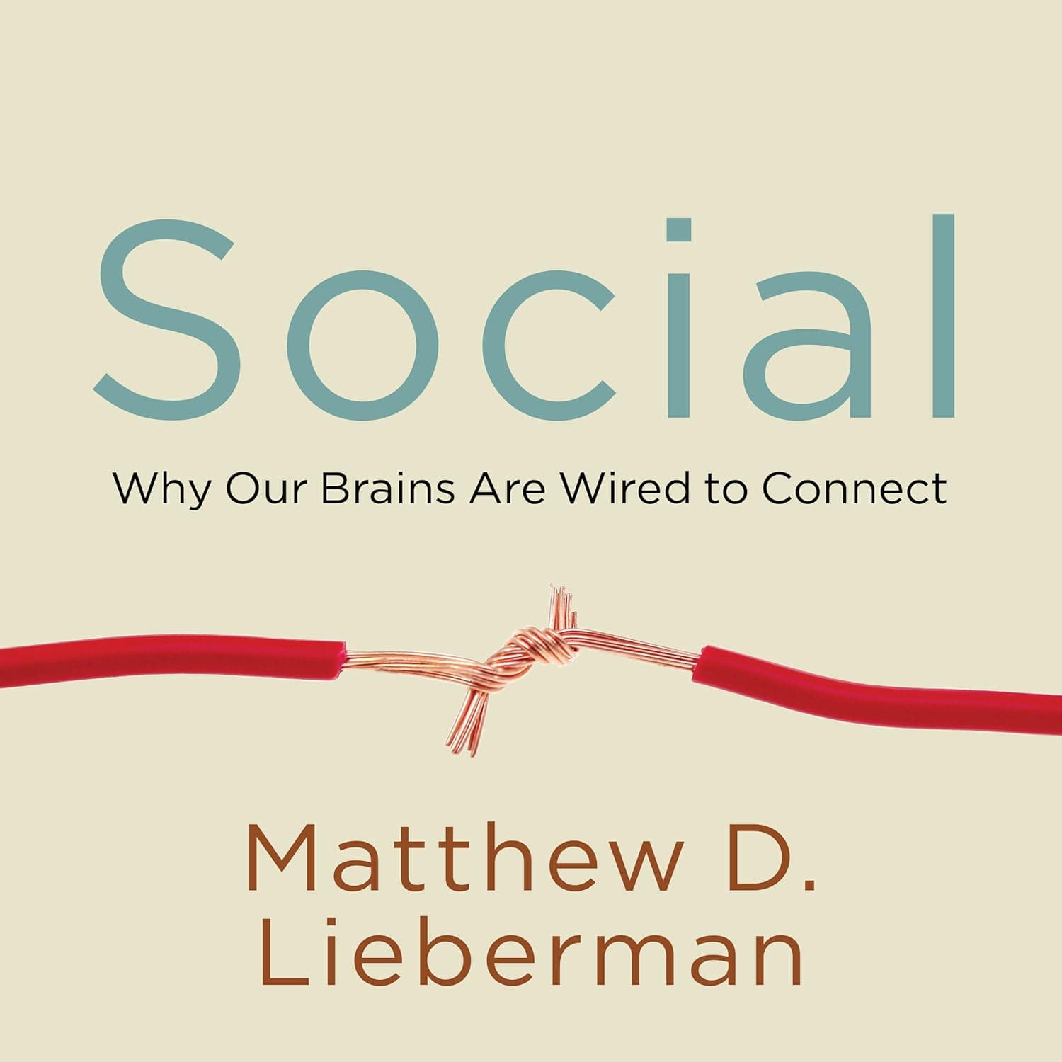 Social: Why Our Brains Are Wired to Connect - image 1 of 1