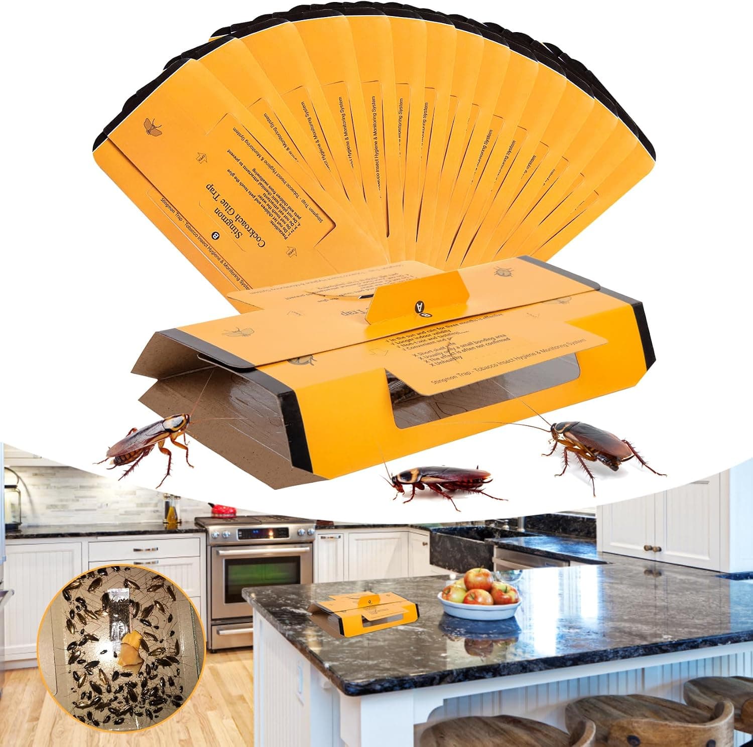 24 Pack Roach Traps Indoor, Roach Killer Indoor Infestation Glue Traps for Roaches, Cockroach Home for Bugs - image 1 of 1