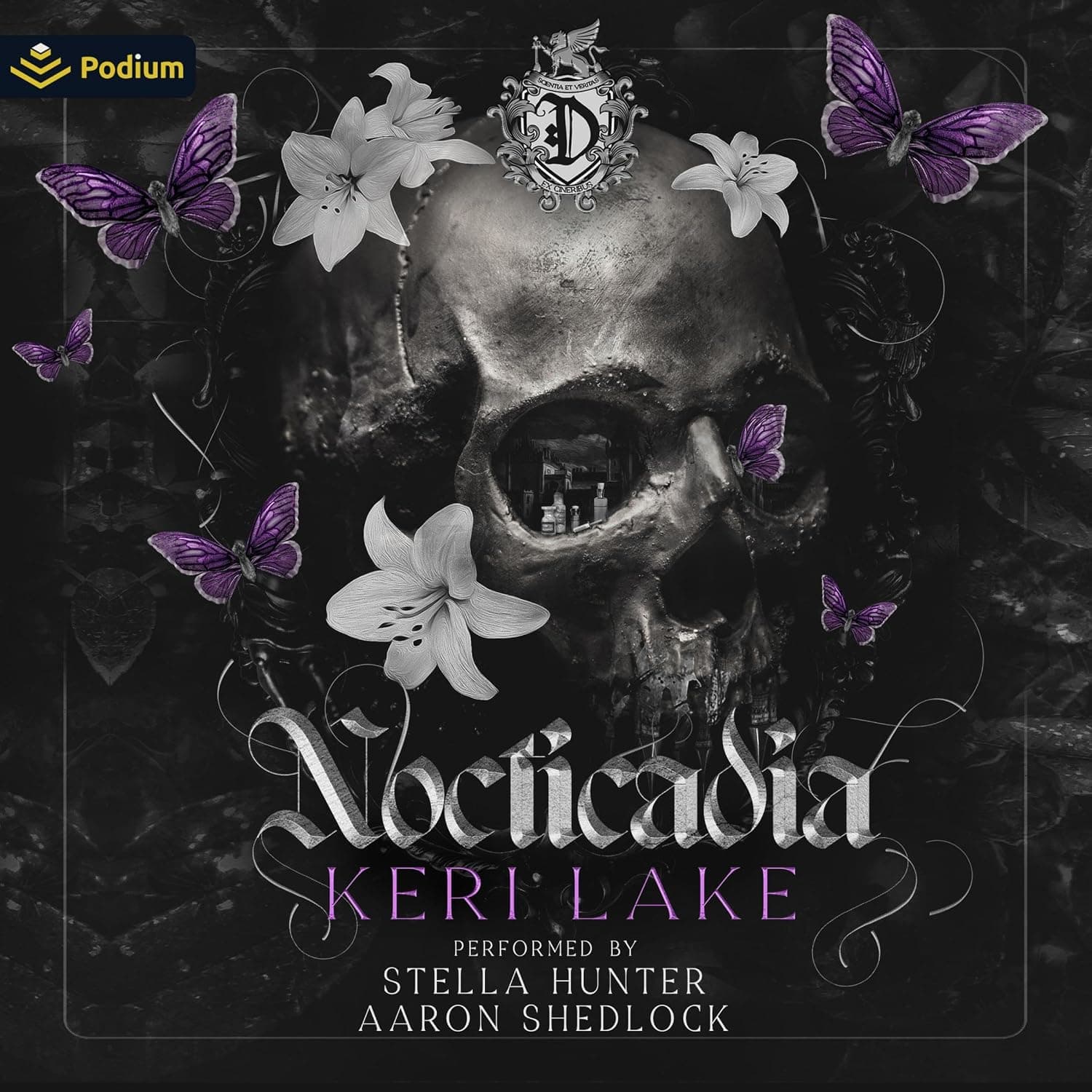 Nocticadia - image 1 of 1