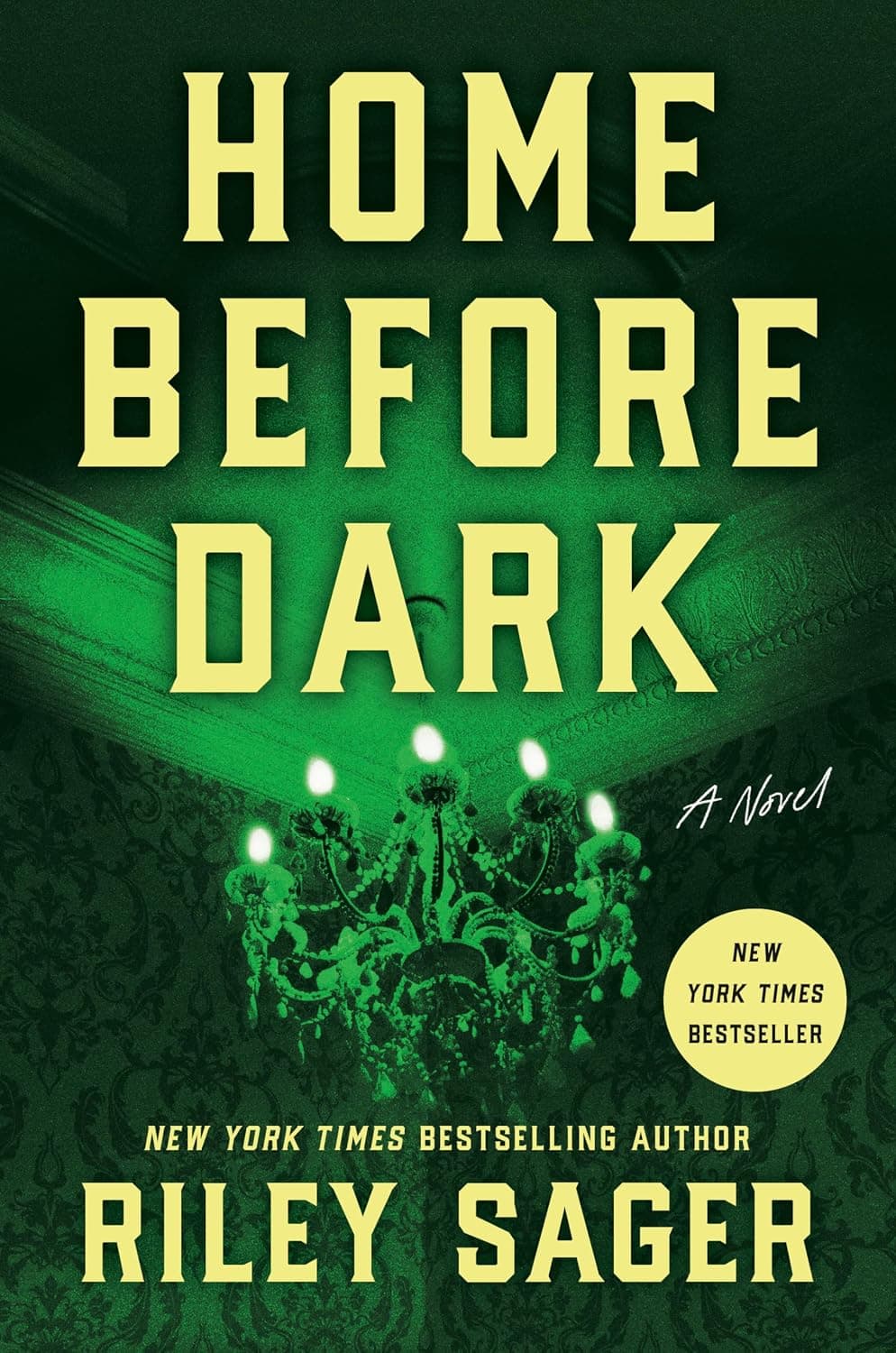 Home Before Dark: A Novel - image 1 of 1