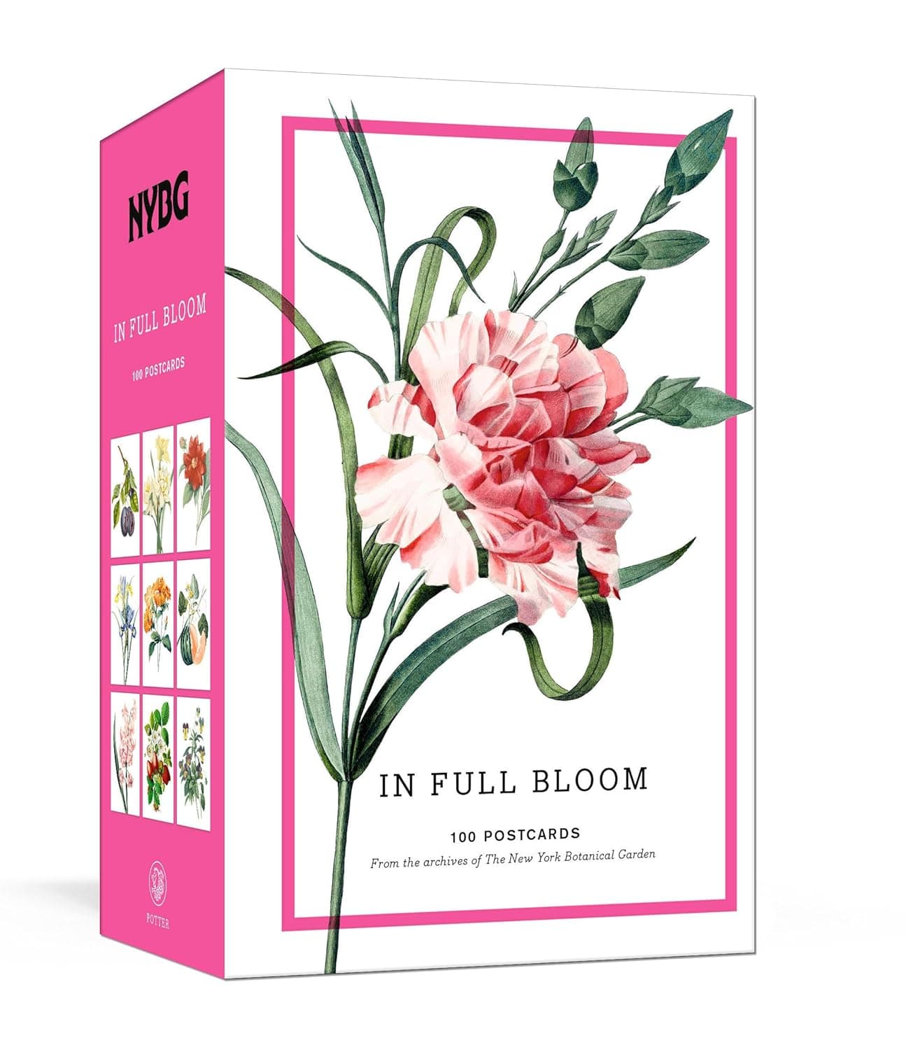 New York Botanical Garden: In Full Bloom Postcards: 100 Postcards from the Archives of the New York Botanical Garden - image 1 of 1