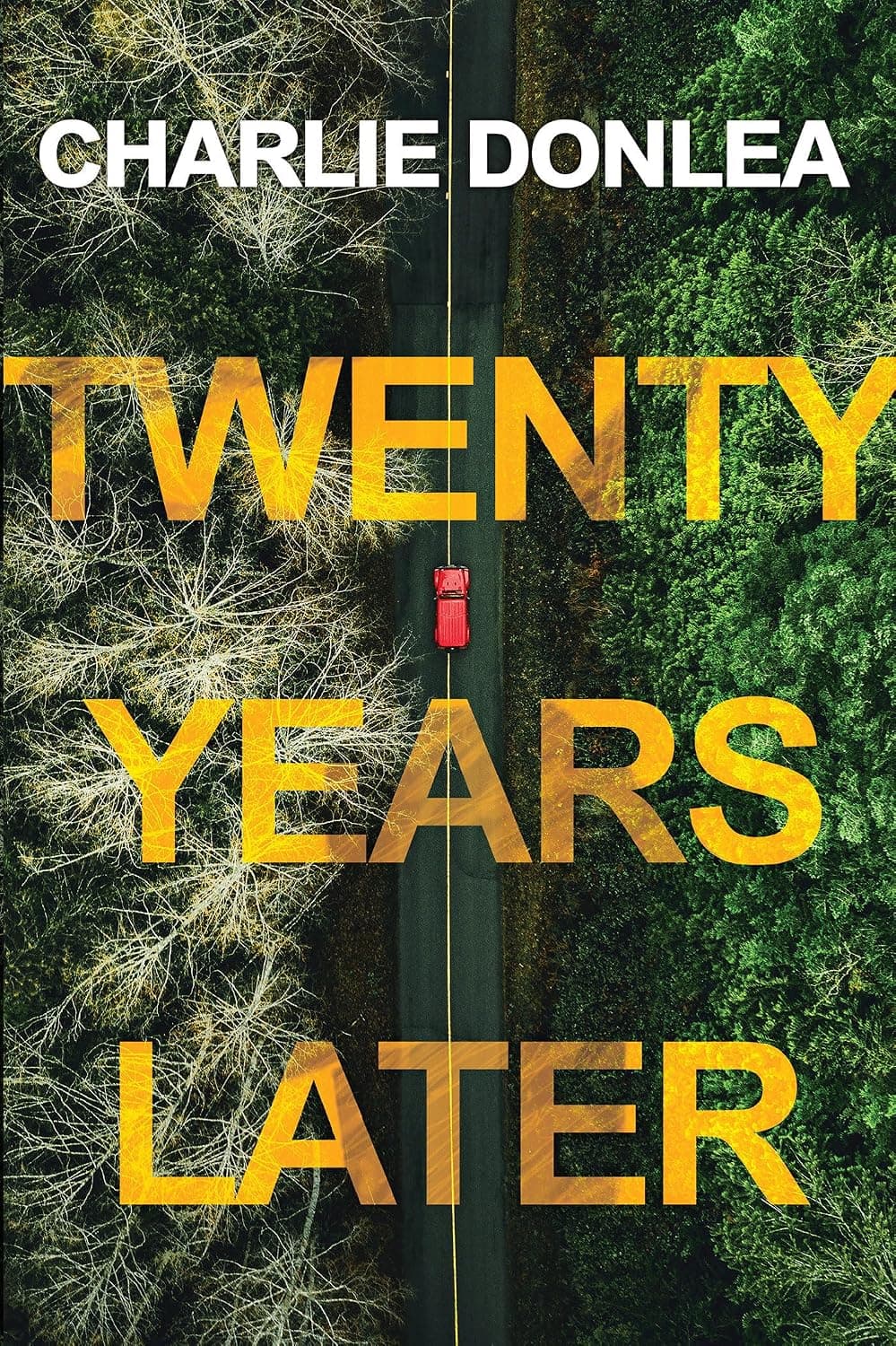 Twenty Years Later: A Riveting New Thriller - image 1 of 1