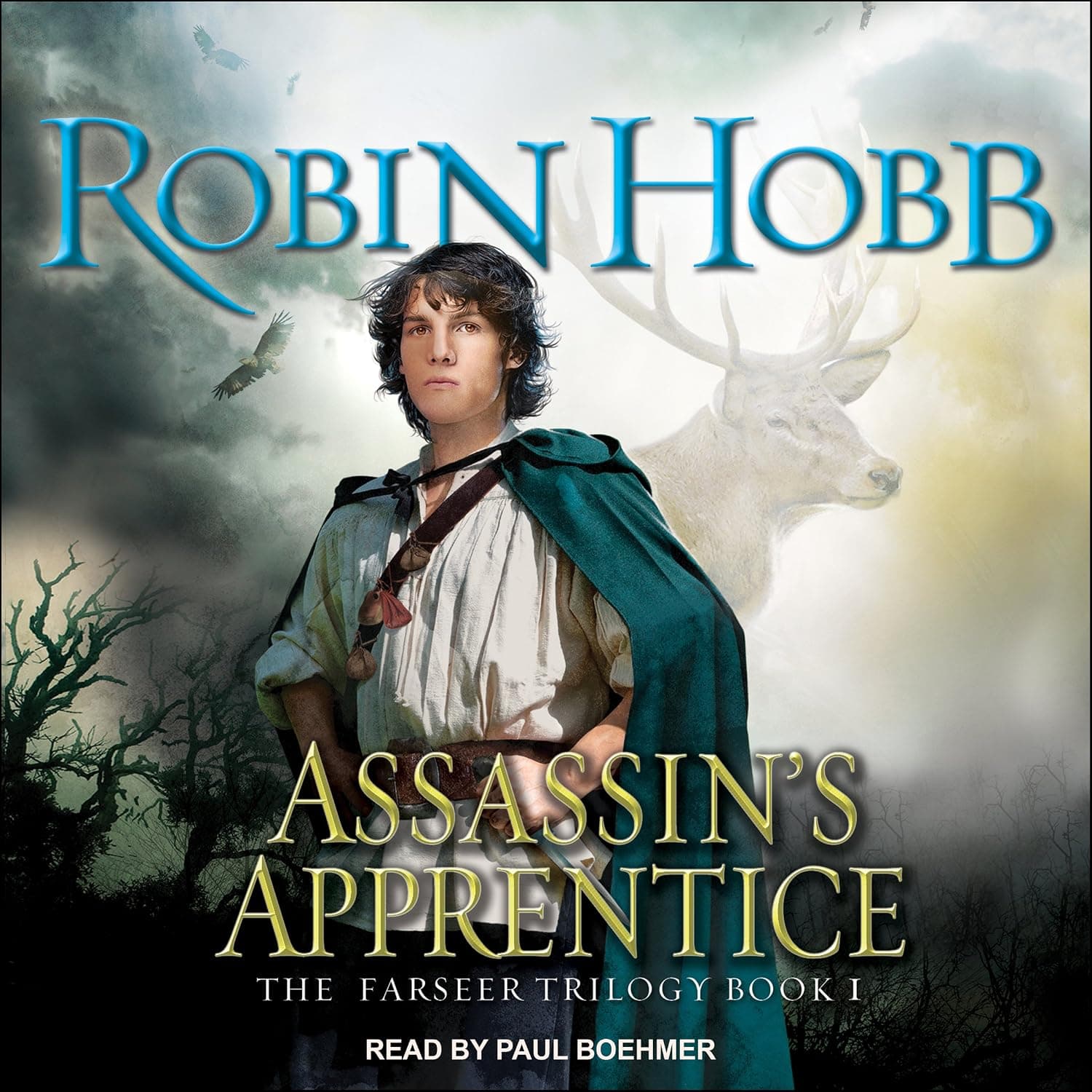 The Farseer: Assassin's Apprentice - image 1 of 1