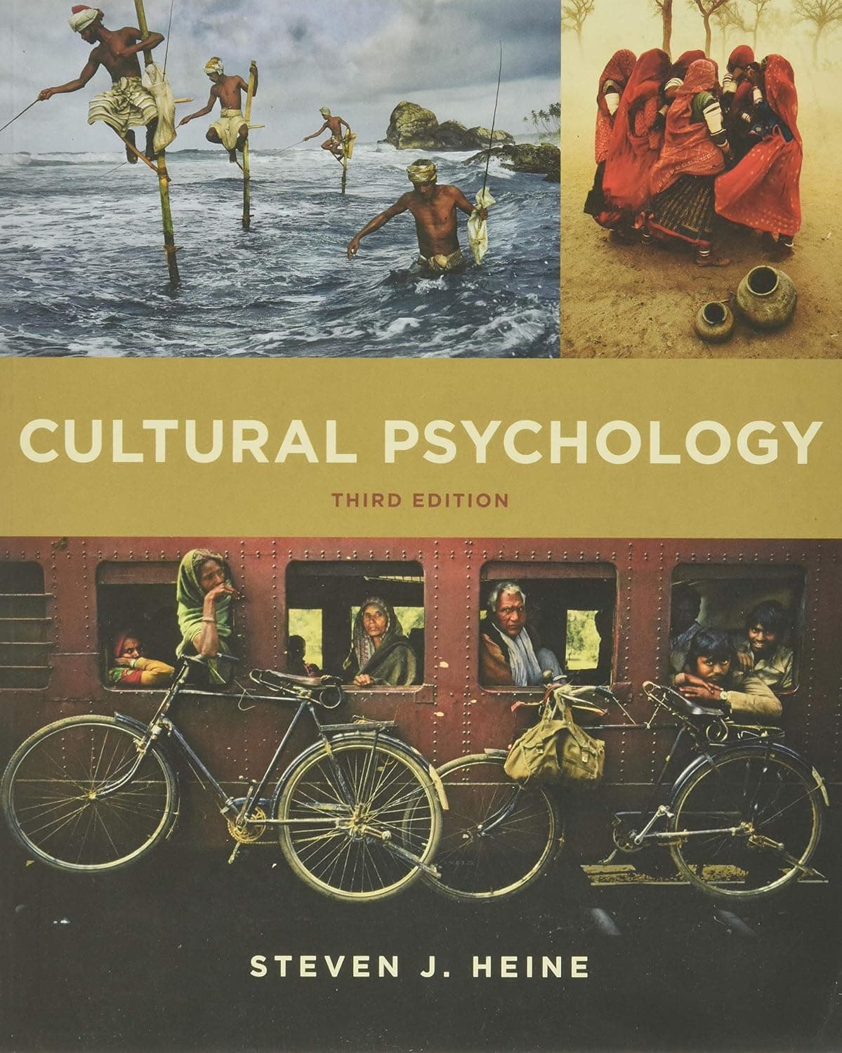 Cultural Psychology - image 1 of 1