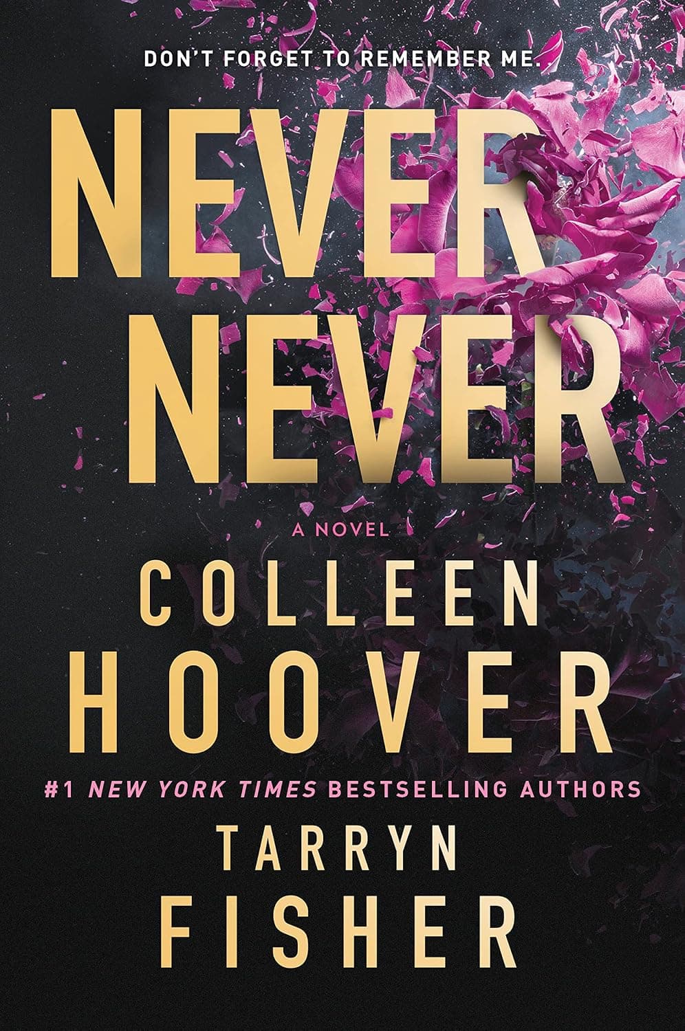 Never Never: A Romantic Suspense Novel of Love and Fate - image 1 of 1
