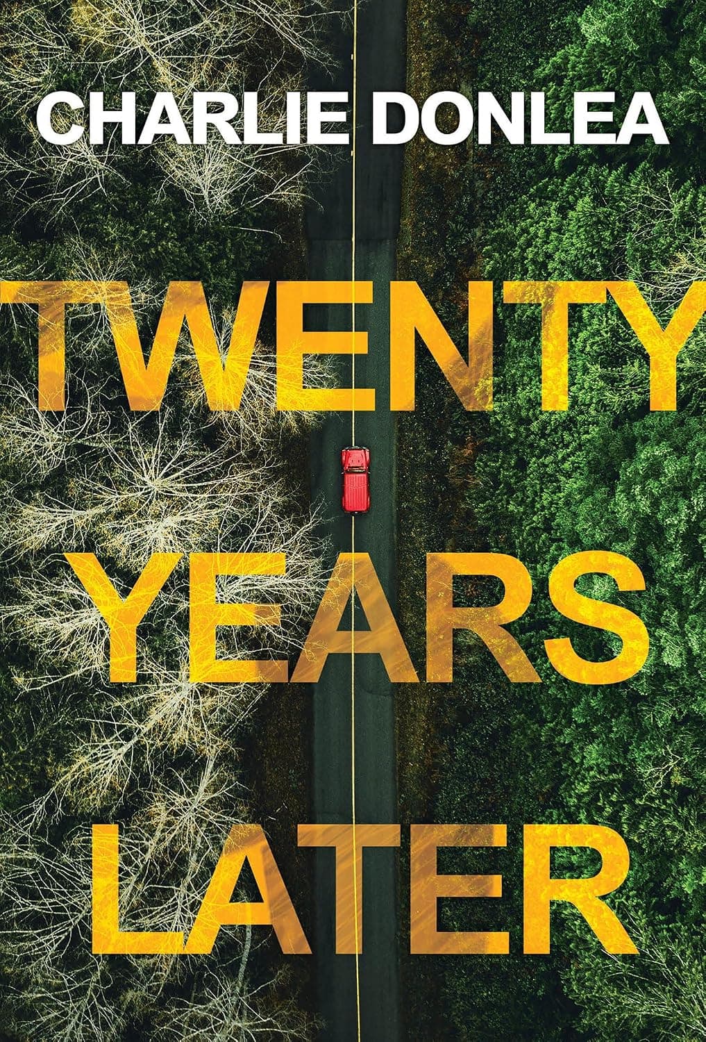 Twenty Years Later: A Riveting New Thriller - image 1 of 1
