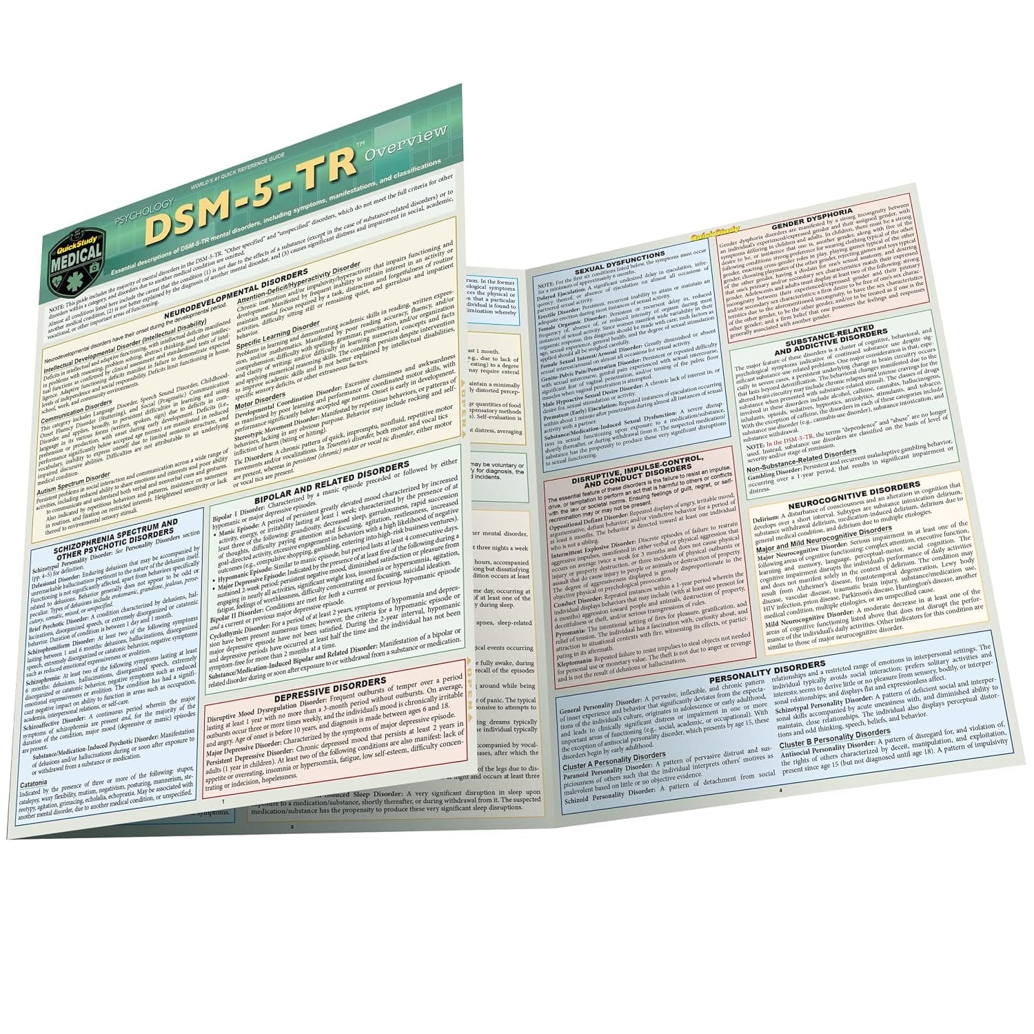 DSM-5-TR Overview: a QuickStudy Laminated Reference Guide - image 1 of 1